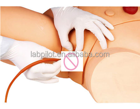 Intramuscular Injection Training Model for Female Catheterization Skill Development