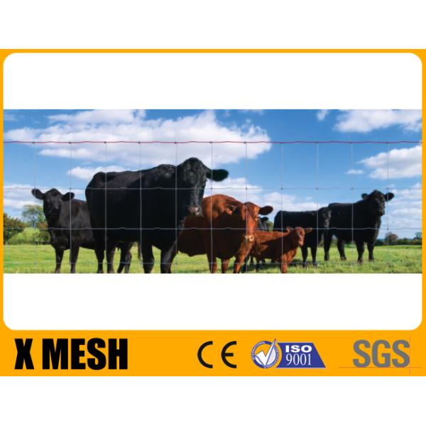 провод 50m никакую загородку лошади подъема окунутое горячее 330 Ft не гальванизировало