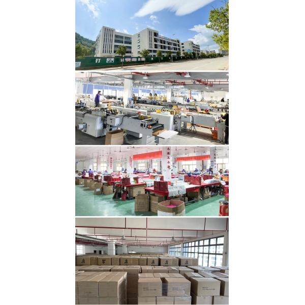 Логотип бумажных пакетов 200г 250г 300г роскошного магазина ботинок и одежд упаковывая изготовленный на заказ