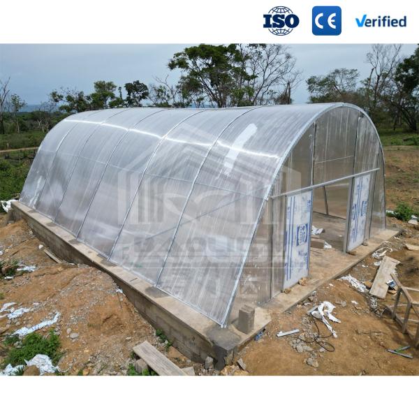 Baolida Solar Dryer Polytunnel Greenhouse PC Board For Vegetables Fruit