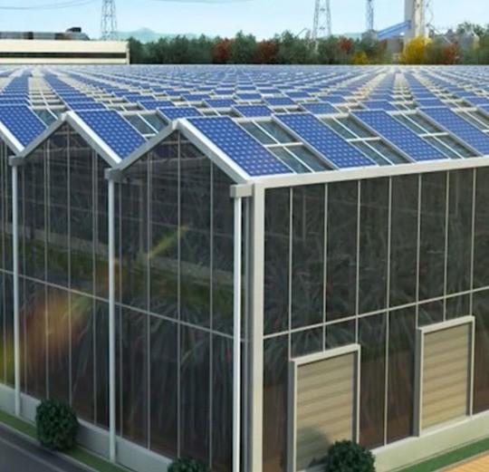 Commercial Photovoltaic Greenhouse with Film Cover Material and Unheated Heating