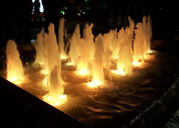 SUS 316 Stainless Steel LED Underwater Light Fountain Light 9W / 27W