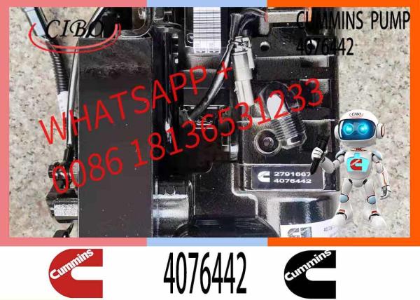 Cummins Neutral High Pressure Fuel Pump 4076442 parts Engine Fuel Injection Pump 4010173 4076442
