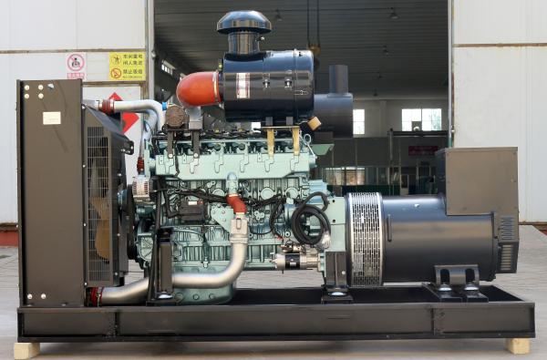 Energy-saving 300KW Natural Gas Generator Set for Russian Market