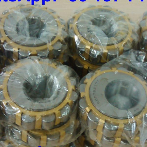 500752307 Nylon Cage Double Row Eccentric Roller Bearing 35x86.5x50mm