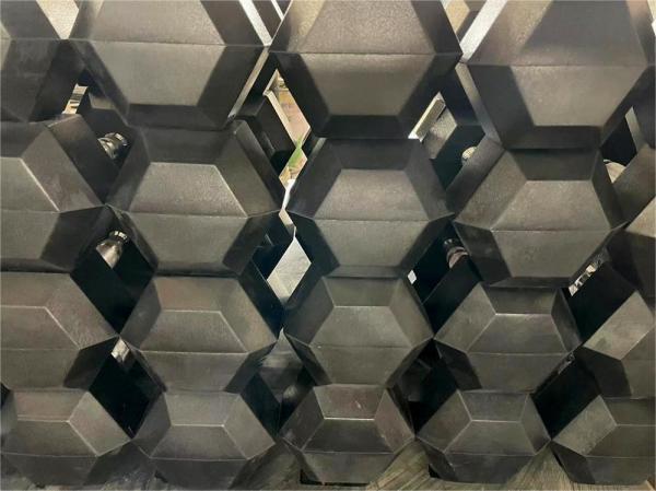 Befreeman Logo personnalisé Dumbbell Hex pour l' entraînement de la force