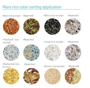 High Precision Rice Colour Sorter AI Intelligent Rice Sorting Machine