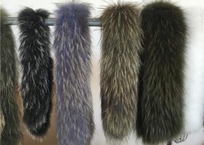 Fluffy Authentic Raccoon Fur Collar , Natural Color Raccoon Fur Hood Trim For Women