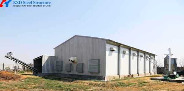 Automatic Steel Structure Poultry Farm Shed for Broiler Chicken Housing