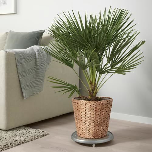 Water Hyacinth Wicker Planter Basket, Small Round Woven Basket For Plants With Metal Pot, Indoor Wicker Plant Pot Eco-Friendly Water Hyacinth Woven Plant Pot – Round Basket with Inner Saucer, Deco