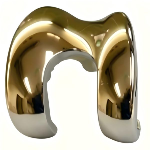 Knee Joint Implant