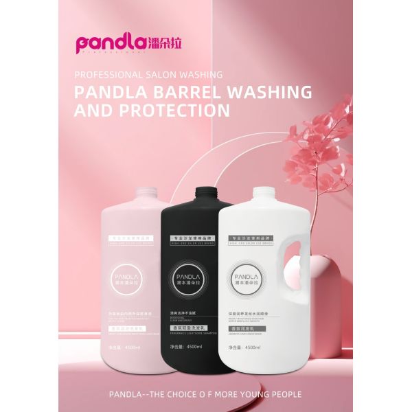 Wholesale PanDla OEM Natural Hair Shampoo and Conditioner for Deep Hair Cleansing Moisturizing for Professional Salon