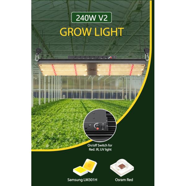 СИД SAA Bavagreen 240W LM301B растет светлое крытое освещение садоводства