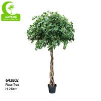 Fogo - planta estética do ficus do falso do retardador, palmeira artificial de 8ft no verde