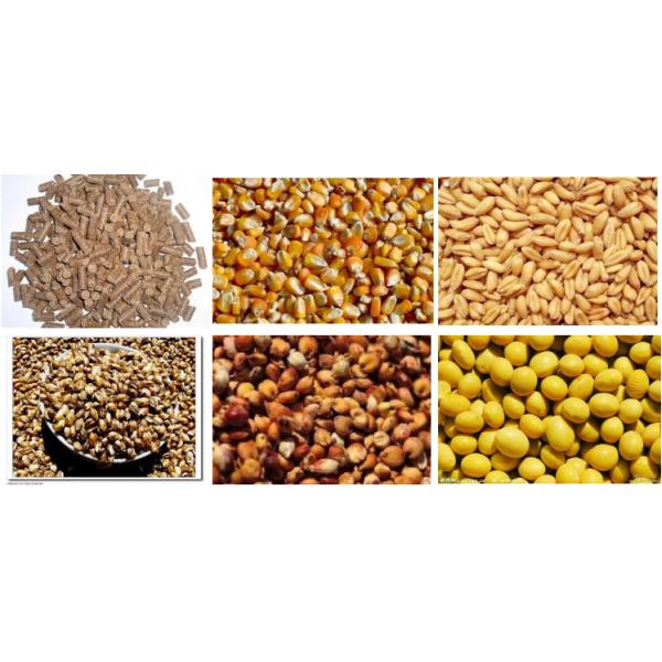 Semi автоматическое оборудование класть в мешки корма для животных 480bags/Hour