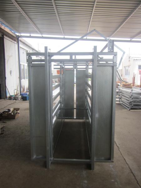 Aço resistente das escalas de peso Q235 do gado dos rebanhos animais do equipamento agrícola do gado