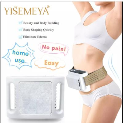 Corpo fresco de congelação gordo da tecnologia da máquina de Cryolipolysis do uso da casa que esculpe a máquina