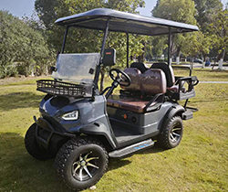 Lake Horse Golf Cart Tire Electric Car Golf Buggy Mini with 7-9h Charge Time