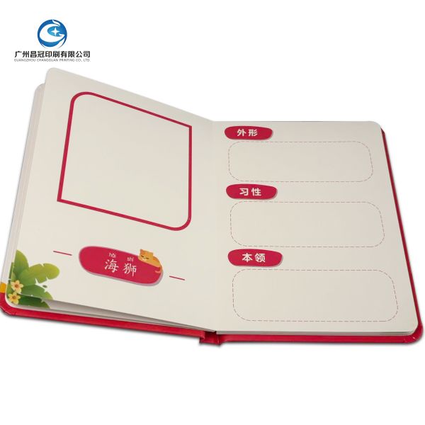 Hot Sale Custom Full Color Story Books for Children Factory Prices High Quality Children's Books Printing Hardcover