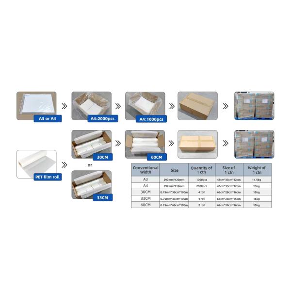 Смываемая, настраиваемая ширина Dtf Transfer Film Красивый цвет