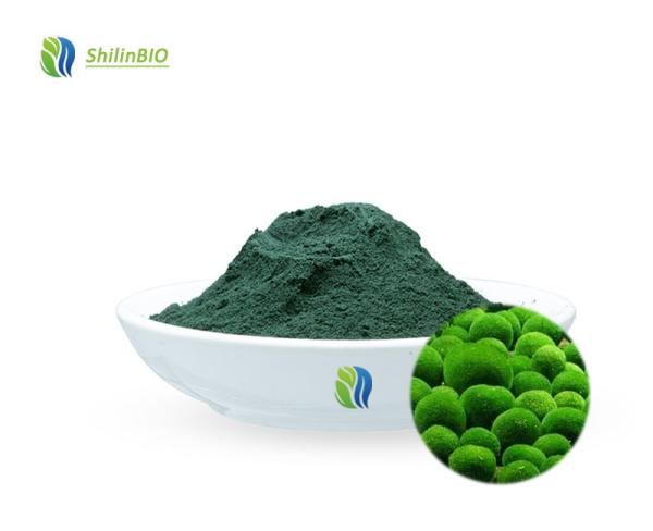 Chlorella Algae Powder 50%~60% Protein