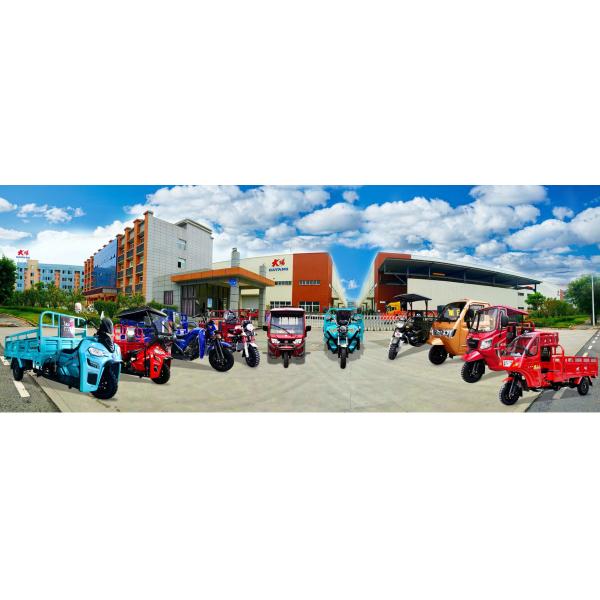 1000Kg Motorised Tricycle Three Wheel Cargo Motorcycle with 12V Electric and Kick Start