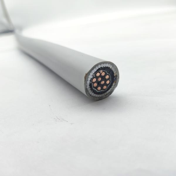 Instrumentation Cable 300/500V CU/MGT/XLPE/OS/FR/LSZH/GSWA/LSZH 10х1