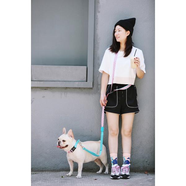 X Small Adjustable Cute Christmas Martingale Dog Collars Reflective Collars For Stray Dogs