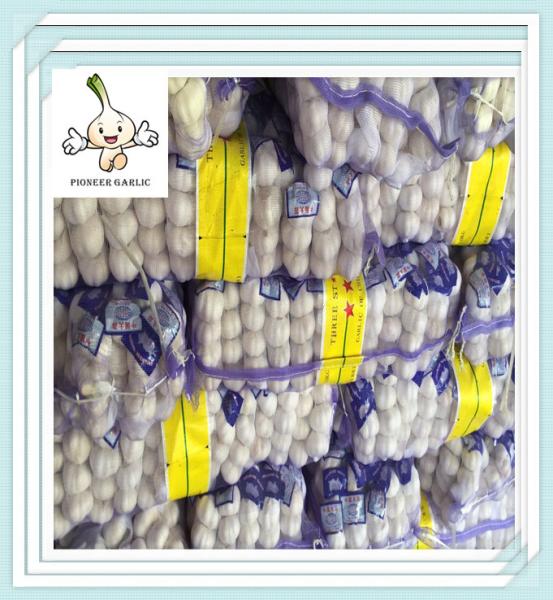 10kg/Mesh Bag 5.0 Normal White Garlic Sale Fresh Natural White Garlic