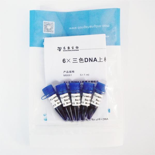 Orange 6x DNA Loading Dye 1mlx5 DNA Electrophoresis Loading Buffer