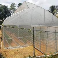 Invernadero plástico del respiradero del top del diente de sierra del túnel de los 10m los 8m de la anchura para el crecimiento de la fresa