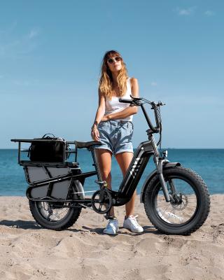 20 Inch Fat Tire  Rack for Carrying Goods & Passengers, Powerful Motor, Long Range Long Tail Electric Bike with Cargo