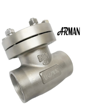 CDH61F-40PB 304 Cryogenic Check Valve SS 304 Low Temperature Customized