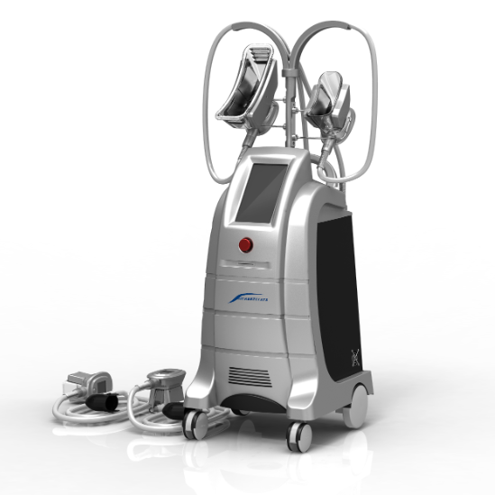 CE Certified Cryolipolysis Equipment For Salon And Clinic Commercial Use