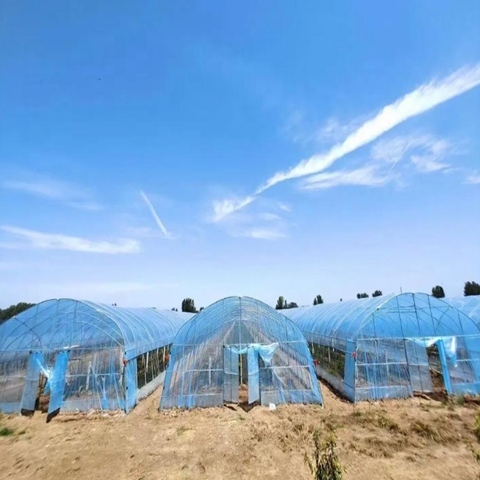 High Strength Plastic Agricultural Film Offering Excellent UV Resistance