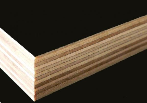 Hot Sale Plywood For Construction Materials Prices , China Hot Film Faced Plywoood Factory