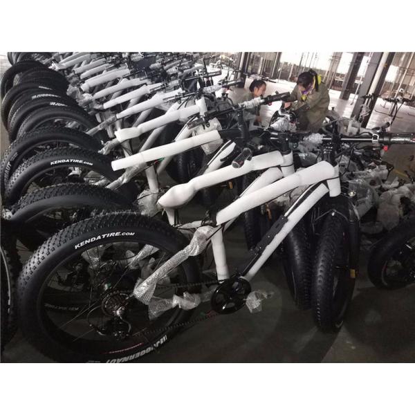 Disc Brake 750W 48V Lithium Battery Adult E Bike Fat Tire Electric Bike 26 inch with Max Speed of 30-50Km/h