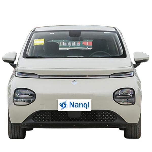 Wuling Baojun Yunduo Cloud 460km 5 Seat Hatchback Pure Electric Mini EV