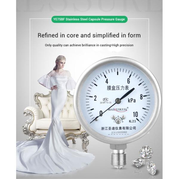 YE75BF 76mm Nominal Diameter Overvoltage Protection All Stainless Steel Pressure Gauge