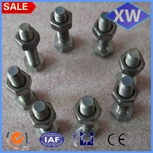 Hex titanium bolt and nut with DIN913
