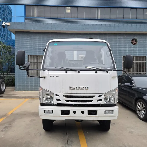 Isuzu 3 ton Cargo Truck