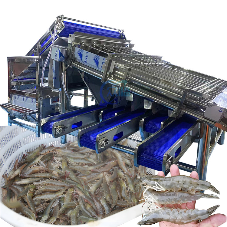 Fresh Prawn Washing Rolling Sorting Machine 1200KG Shrimp Grader Machine