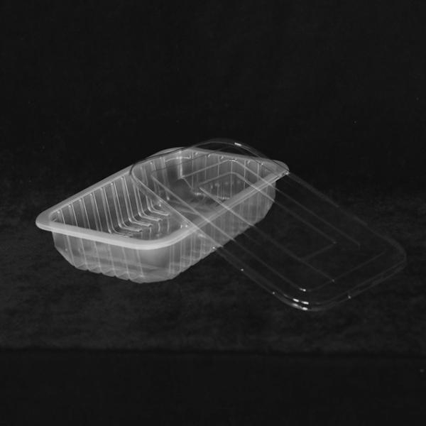 260Mm Disposable Plastic Trays With Lids Food Grade PP Plastic Tray