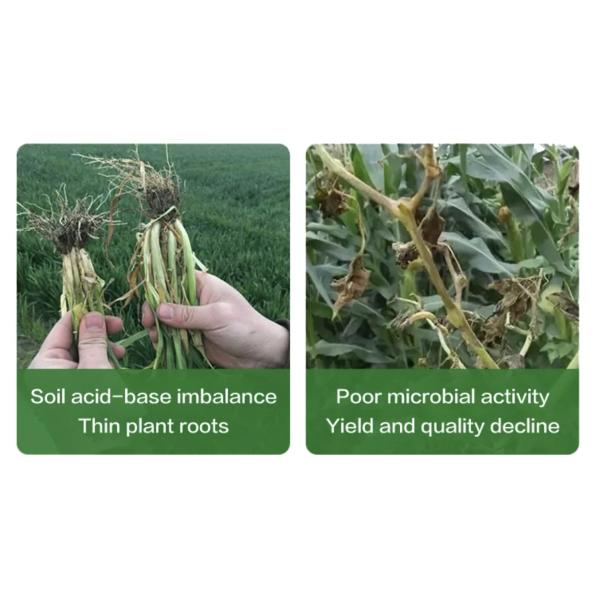 CAS No 6854-28-3 100% водорастворимый калий гумат сверхтонкий порошок с pH-значением 9-11