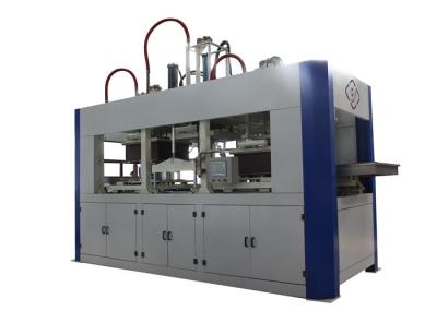 Equipamento totalmente automático biodegradável do molde da polpa, controle da tela do PLC + de toque
