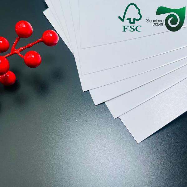 FSC 14pt 16pt Two Side Coated Couche Paper Waterproof For Advertising Postcards