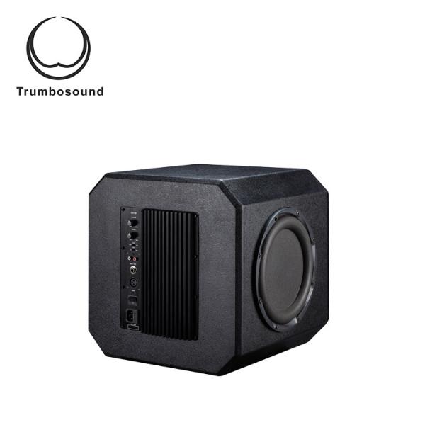 12 inch active bass loudspeaker home theater speaker indoor subwoofer speaker TR12BA