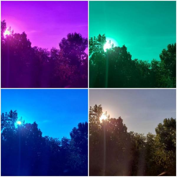 Therapy Chakra Chromotherapy Rose Colored Lens Sunglasses PC Frame