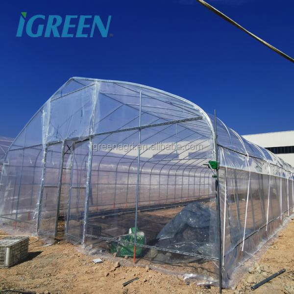 Garden Single Tunnel Greenhouse Eco Friendly Film type For Crop Production