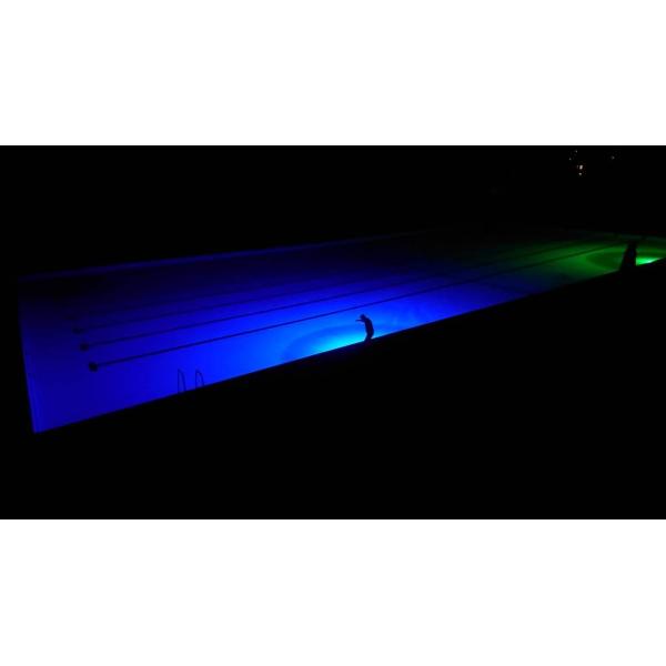 Нержавеющая сталь 5050 297 рыб СИД привлекая свет